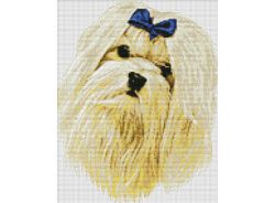 1375-14 Мальтийская болонка (Белоснежка)