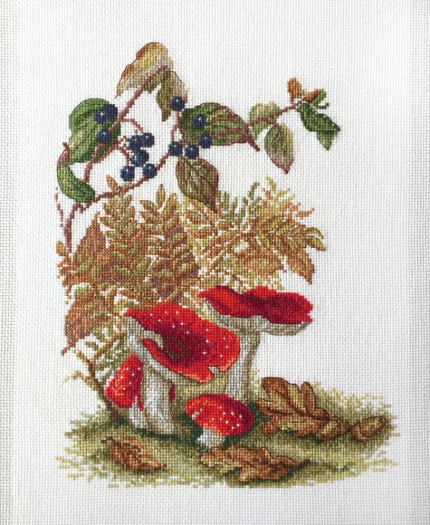 04.012.01 Набор для вышивания Марья Искусница "Мухоморы" по рисунку Э. Холден