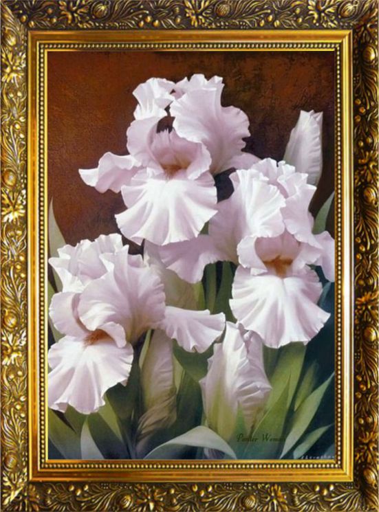  Алмазная мозаика Милато "Изысканная красота" NR-35