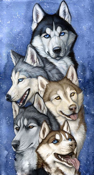 Ag 2307 Алмазная мозаика Гранни "Упряжка хаски"