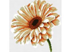 6007-14 Белая гербера (Белоснежка)