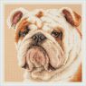 59-21 Набор для вышивания Чудесная игла "АНГЛИЙСКИЙ БУЛЬДОГ"
