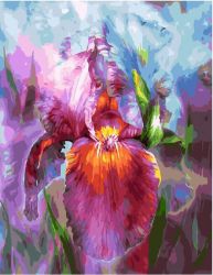 GX5402 Картина по номерам Paintboy "Ирис"