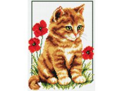 855-14 Котенок в цветах (Белоснежка)