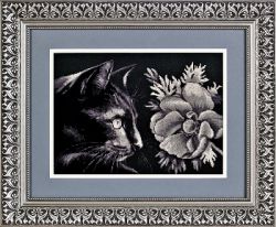 1061 "Кот и анемон" (Alisena)