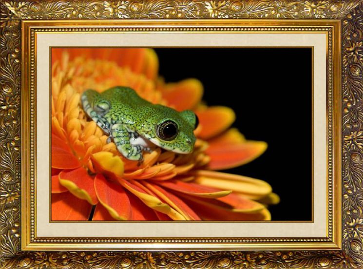 F-357 Алмазная мозаика МИЛАТО "К удаче"