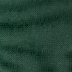 851-16зел Канва в упаковке (зеленый)