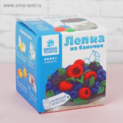 3690721 Банка для декора полимерной глиной "Ягоды" Школа талантов