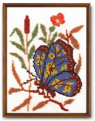 В-07 "Баттерфляй" (КРОШЕ)