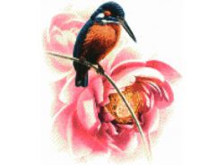 1164-14 Колибри (Белоснежка)