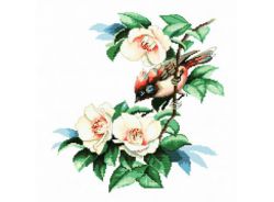 1165-14 В цветах магнолии (Белоснежка)