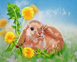 L-0017 "Солнечный Зайчик" (Рисуем иглой)