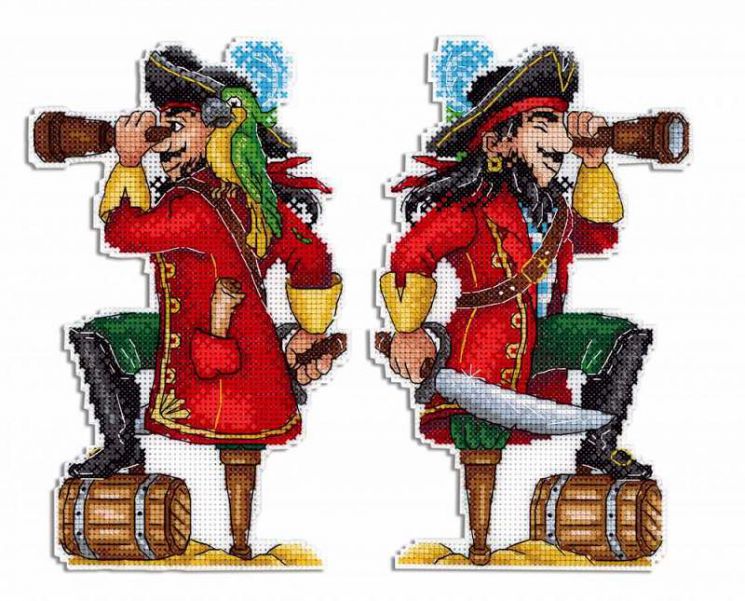 Р-450 Набор для вышивания "Жар-Птица" "Отважный пират"